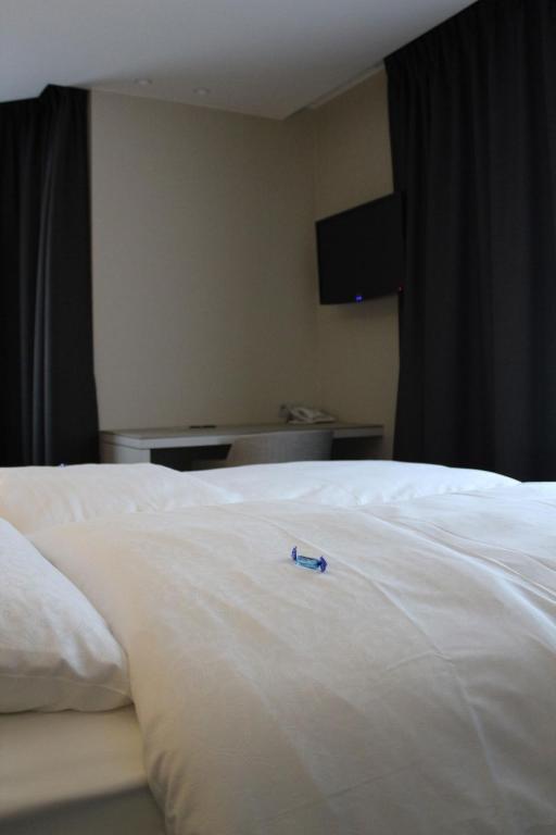 Hotel Astel De Haan Room photo